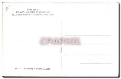 Papagaio-de-coroa-amarela — série n°3 — editado pelo Comité National de l'Enfance, Paris — Verso