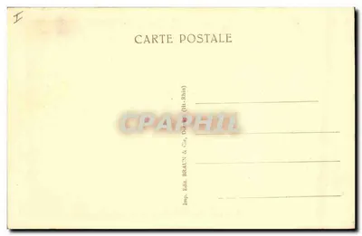 Alsazia — Nido di cicogne — editore BRAUN & Cie, Dornach (Haut-Rhin) — Verso