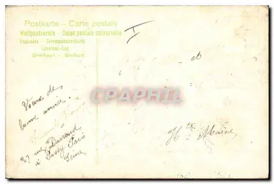 Desejos sinceros — decoração de galhos de pinheiro e cones de pinheiro — editor não visível — Verso