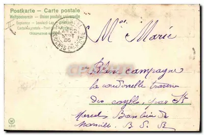 Widok wsi przez drzewa — wydawca W. 5317 — Rewers