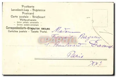 Bukiet fioletowych astrow — wydawca nie widoczny — numer serii nie widoczny — Rewers