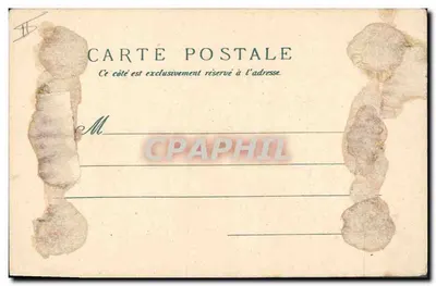 Liseron blu — illustrazione botanica — editore non identificato — Verso