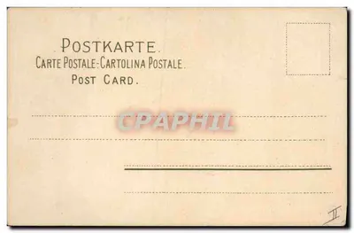 Arranjo de violetas — ilustração botânica — editor: Messner & Co., Leipzig — Verso