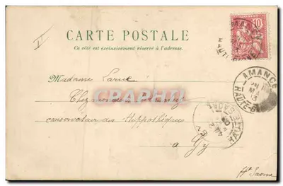 Pássaros e flores — cartão postal ilustrado — editor não visível — Verso