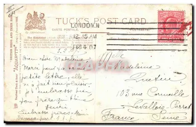 Bilhete postal antigo O kingfisher — Verso