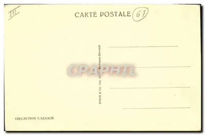 L'ALSACE PITTORESQUE — Młodzi żenienci i ich goście — Braun & Cie, Mulhouse-Dornach, n° 23 — Rewers
