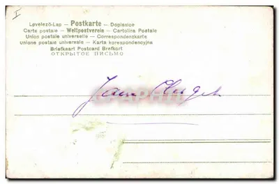 Flores de rosas — ilustração botânica — editor desconhecido, n° 41 — Verso