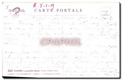 Pansies — Wesołych Świąt — H. Barth, n°554 — Rewers