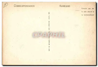 Sceny i typy Pyrenées — Kobieta opiekująca się gniazdkiem — LL — Rewers