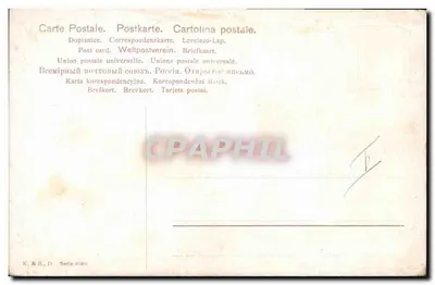 Dwa ptaki w locie — Wydawca K. & B., D. — Seria 2020 — Rewers