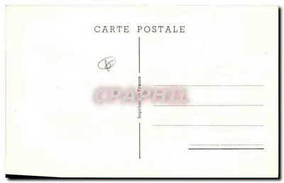 Due pulcini — rametti di salice e magnolia — Stampa in Francia — Verso