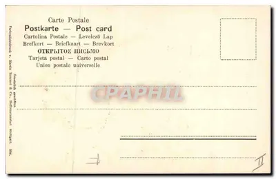 Flor de caprifigo — ilustração botânica — Generalidad de Marita Bonnet & Co., Stuttgart — Verso