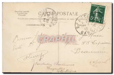 Flores de cerejeira — fotografia em preto e branco — Cartolina postal Levelezolap — Verso