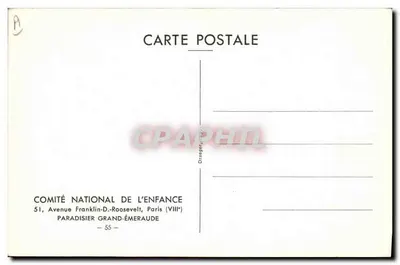 Ave exótica — ilustração naturalista — COMITÉ NATIONAL DE L'ENFANCE, Paris — Verso