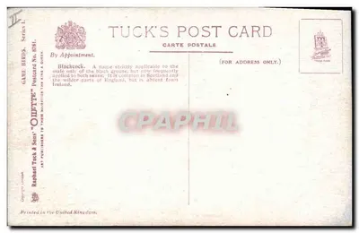 Blackcock — Oullette — Tuck's Post Card, seria I, nr 8781 — Rewers