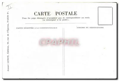 Il Martin-Pesce - illustrazione naturalistica - A. L. n° 55 bis — Verso