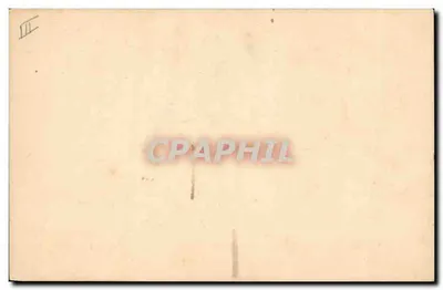 Pássaro em galho de pessegueiro — Bonne Sante — carta postal ilustrada — Verso