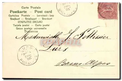 Fioletki — bukiet — wydawca SER, n° 321 — Rewers