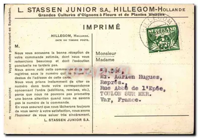 Tulipan pomarańczowy — widok ogrodu — L. Stassen Junior S.A., Hillegom, Holandia, nr 82 — Rewers