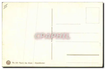 Kwiaty Alp — S. Dindinger-Reuix — Rewers