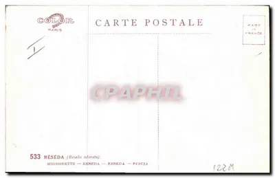 Réséda odorata — Mignonnette — éditeur COLOR Paris, n° 533 — Rewers