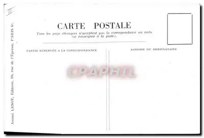 O Ruivo — ilustração naturalista — A. L. n° 55 bis — Verso