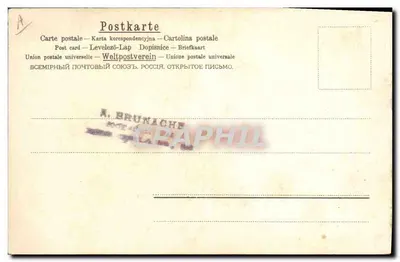 Dois papagaios — ilustração colorida — A. & M. B. N°122 — Verso
