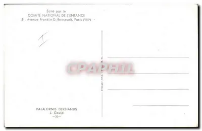 Periquito indiano — ilustração naturalista — editor Draeger & Fils, n°56 — Verso