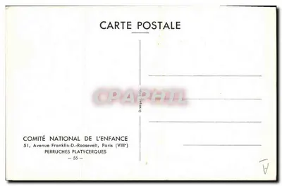 Dois papagaios — ilustração naturalista — Comité National de l'Enfance, Paris — Verso