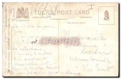 Pawian przed kwiecistym portalowym — Tuck's Post Card — Rewers