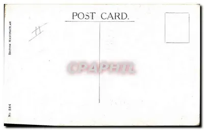 Pussyfoot — Perro y gatos — British Postcard Manufacturer, No 584 — Reverso