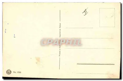 Arranjo de papoulas — R.A. Foster — STF No. 1381 — Verso