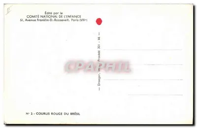 Courlis rouge do Brasil — idade de três anos — editor COMITÉ NATIONAL DE L'ENFANCE, n°2 — Verso