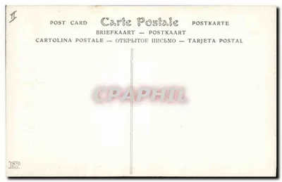 Galo e Galinhas — Salão dos Artistas Franceses (1910) — Paul Colin, ND Fot — Verso