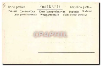 Dois papagaios — ilustração naturalista — A.S. & Co. n°127 — Verso