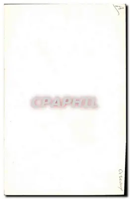 Pássaro colorido em galho florido — cartão postal decorativo — editor desconhecido — Verso