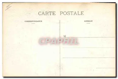 LOS PIRINEOS — Una bandada de gansos jóvenes — C.C. - 1082 — Reverso