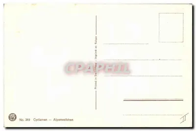Ciclame — Alpenveilchen — Impresso na Suíça, n° 319 — Verso