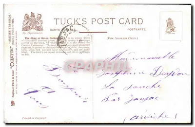 Shag ou Corvo-marinho Verde — Tuck's Post Card n°822L — Oilette & Son — Verso