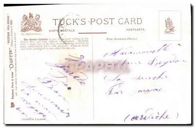 Avestruz-do-mar ou Pia de Mar — Maude Scrivener — Ollettre — Verso