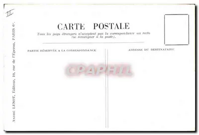 De Gele Bruin — natuurlijke illustratie — A. L. n° 55 bis — Achterkant