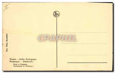 Anvers — Jardim Zoológico — Gralhas e Cegonhas — Editor Thill, Bruxelas, n° II — Verso