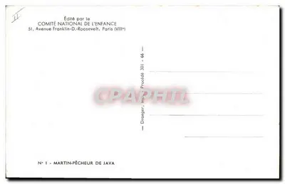Stara pocztówka Martin Pecheur de Java — Rewers
