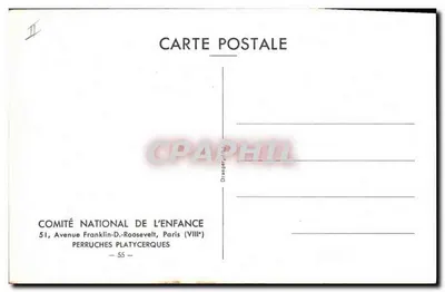 Due papiri rossi — illustrazione naturalistica — Comité National de l'Enfance, Parigi — Verso