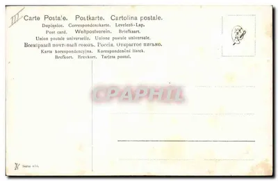 Águia em voo — perseguindo um pato — ilustração de M. Müller, série 251 — Verso