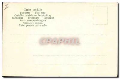 Dois cisnes — lago — No. 707 — Verso