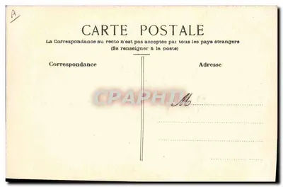 Ave em voo — ilustração azul — cartão postal anônimo — Verso