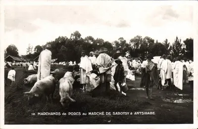Marchands de porcs au marché de Sabotsy à Antsirabe — Éditions de Madagascar, n°12