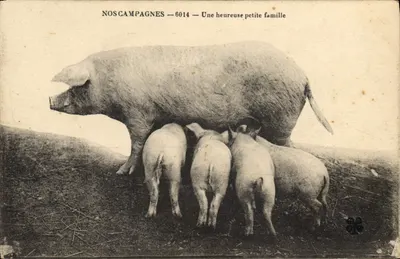 Nossas Campagnas — 6014 — Uma feliz pequena família