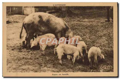 A Auvergne — Refeição em família — GAO, n° 1205